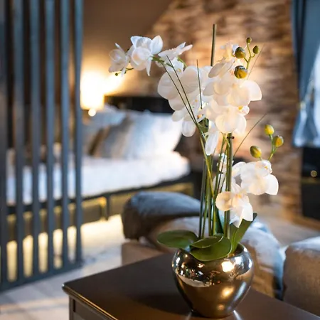 Apartmán Le Cozya - Near Geneva, Cern, Onu, Palexpo *